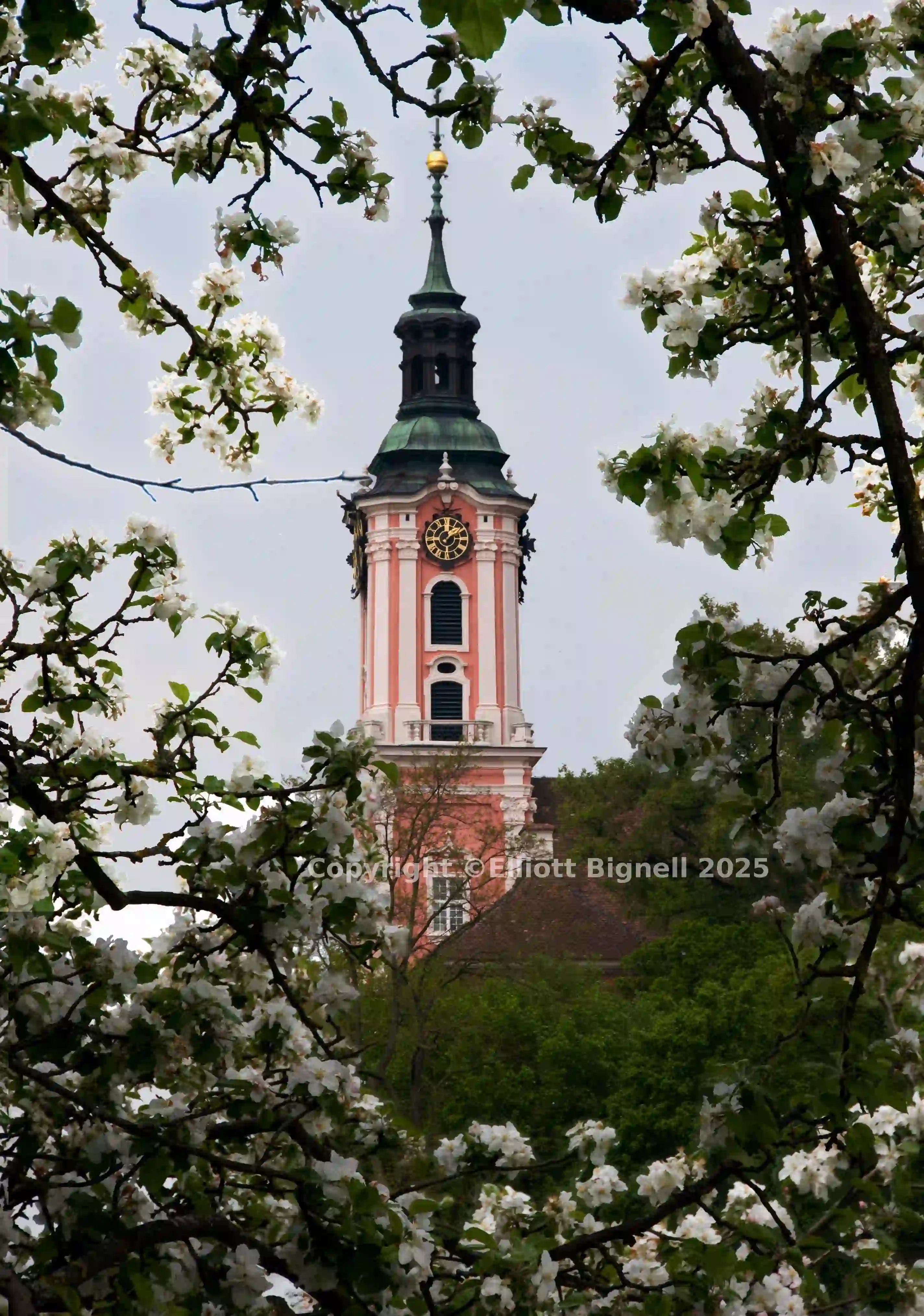 Birnau through blossom.jpg